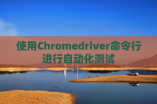 使用Chromedriver命令行进行自动化测试